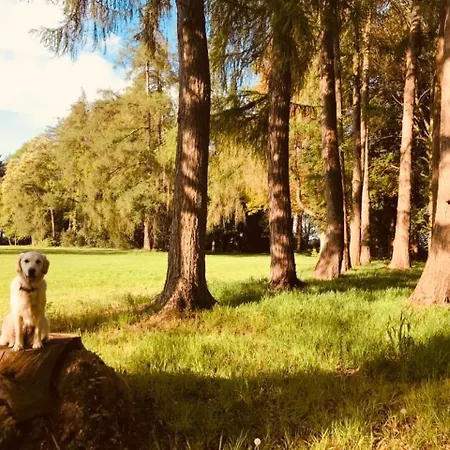 Chateau Folies - Escapade Nature 120m2 - 5 Couchages Ferienhaus Marolles (Pays d'Auge)