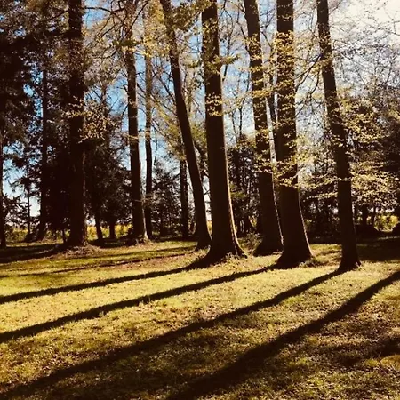 Chateau Folies - Escapade Nature 120m2 - 5 Couchages Ferienhaus *