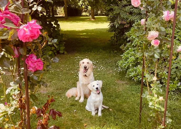 Chateau Folies - Escapade Nature 120m2 - 5 Couchages Casa vacanze *