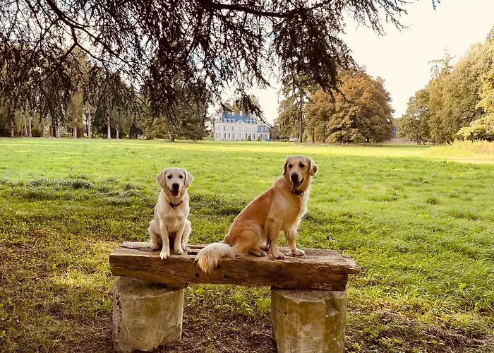 Chateau Folies - Escapade Nature 120m2 - 5 Couchages Casa vacanze