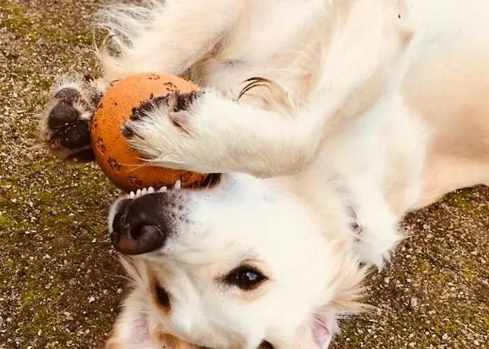 Chateau Folies - Escapade Nature 120m2 - 5 Couchages Marolles (Pays d'Auge)