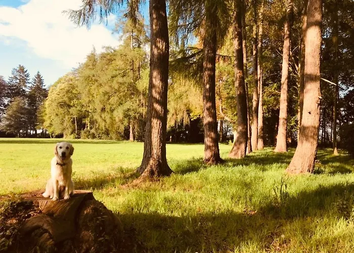 Chateau Folies - Escapade Nature 120m2 - 5 Couchages Casa vacanze Marolles (Pays d'Auge)